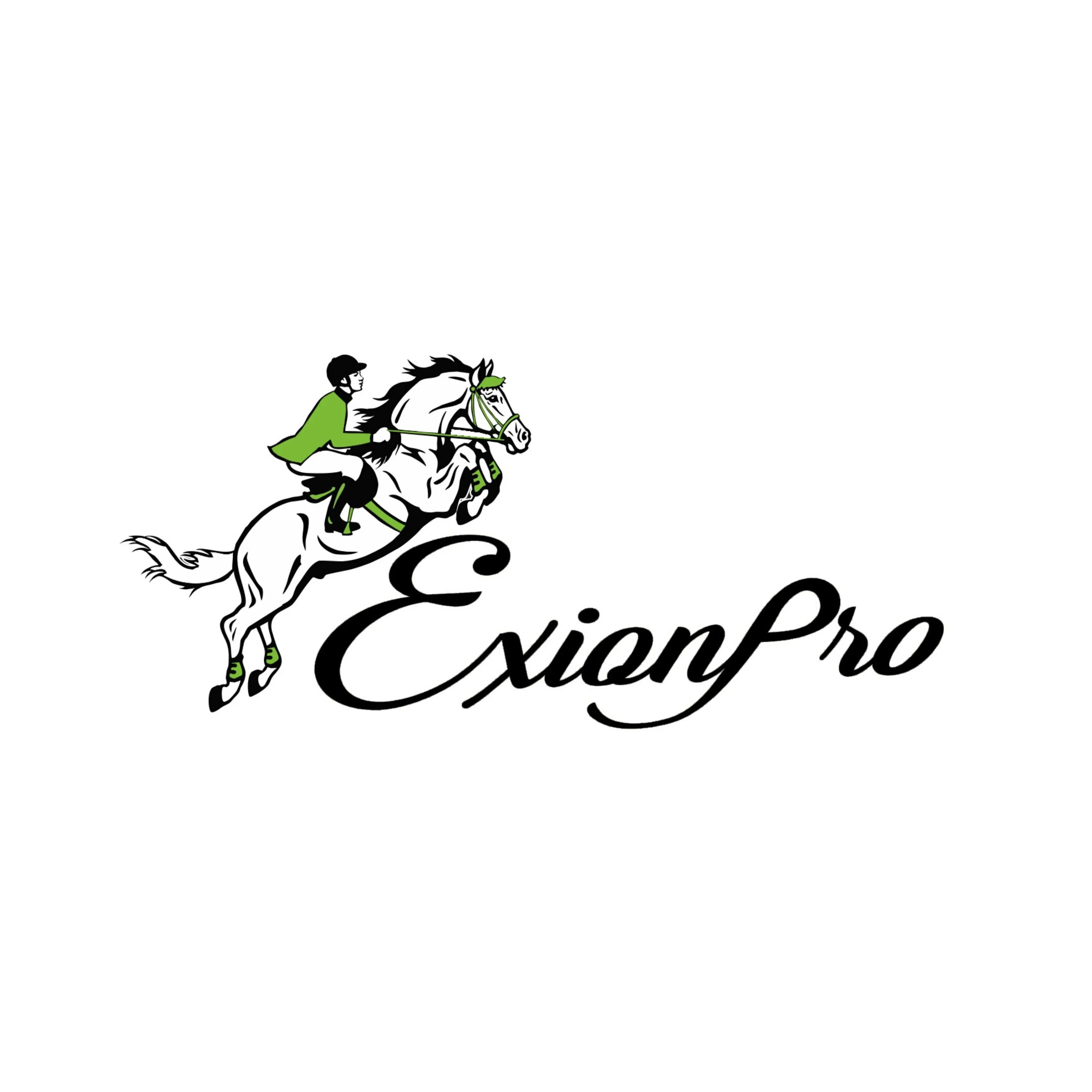 ExionPro Dark Blue Bling Dog Collar