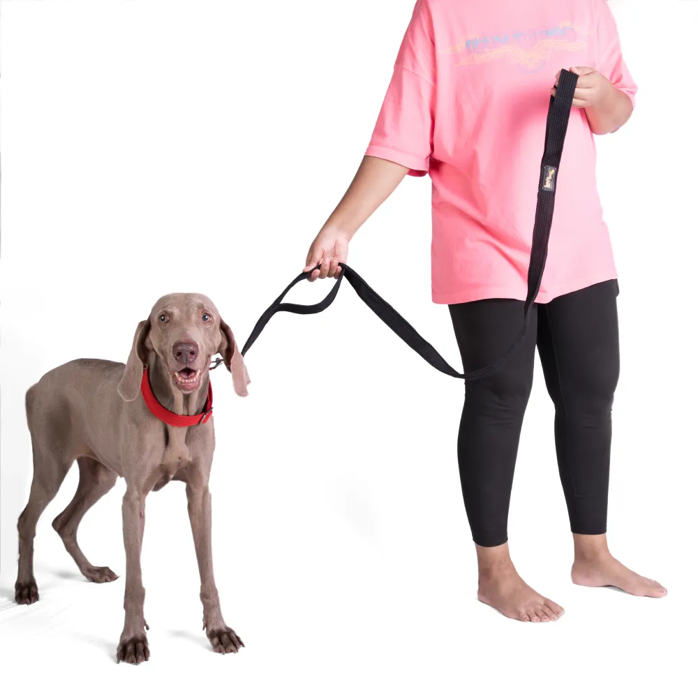 Let's Wag Double Handle Fabric Leash for Dogs (Black)