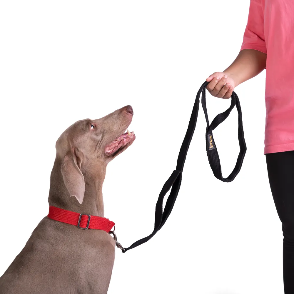 Let's Wag Double Handle Fabric Leash for Dogs (Black)