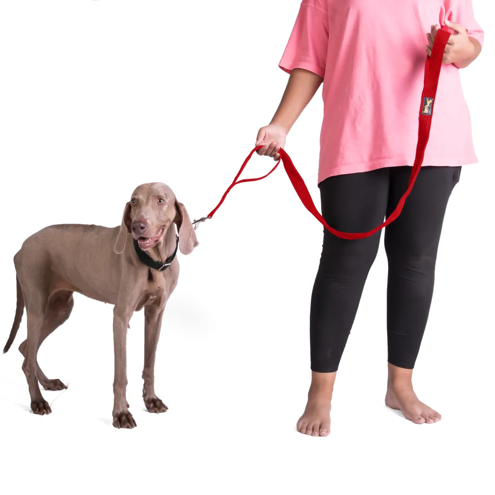 Let's Wag Double Handle Fabric Leash for Dogs (Red)